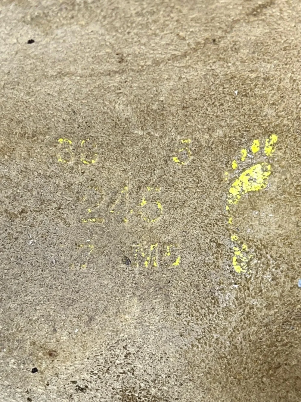 Floral Birkenstock Papillio Boston Clogs Shoes - Women’s Size 7 Sandals - Picture 4 of 12